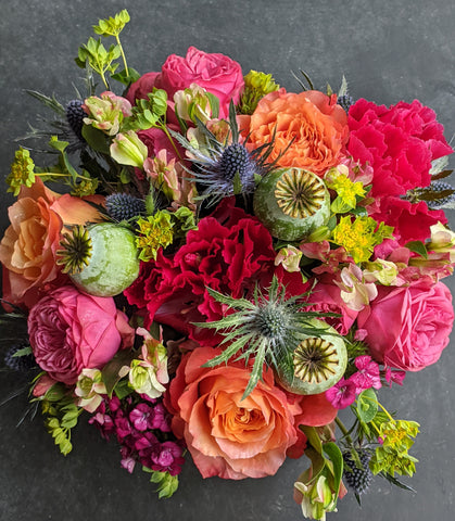 Vibrant Color Story