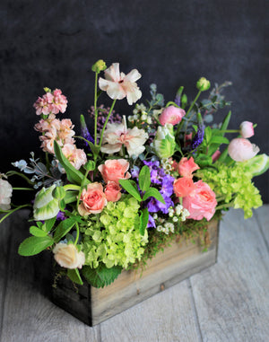 
                  
                    Spring Collection
                  
                