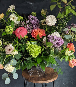 
                  
                    Spring Collection
                  
                