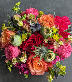 
                  
                    Vibrant Color Story
                  
                